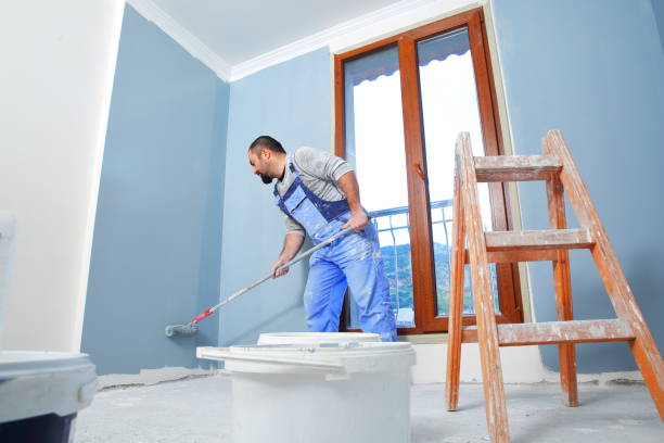 Best Basement Mold Removal  in Altamont, IL