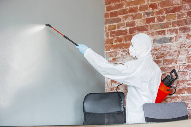 Best Attic Mold Removal  in Altamont, IL