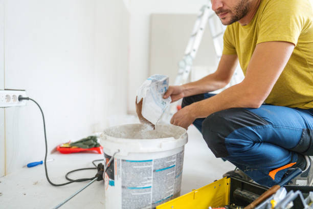 Best Mold Damage Restoration  in Altamont, IL