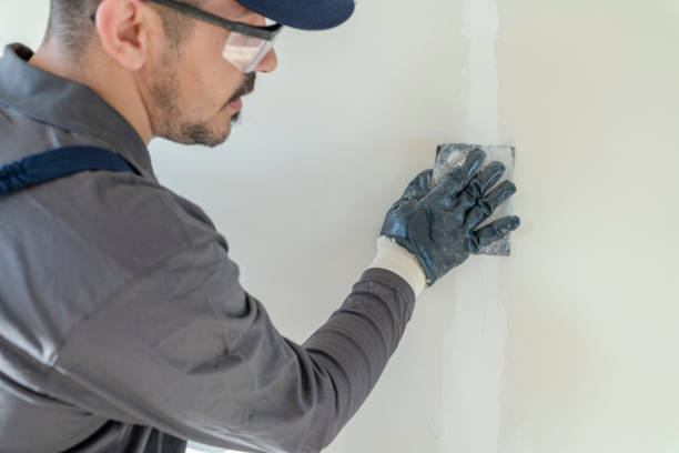 Dehumidification Services in Altamont, IL