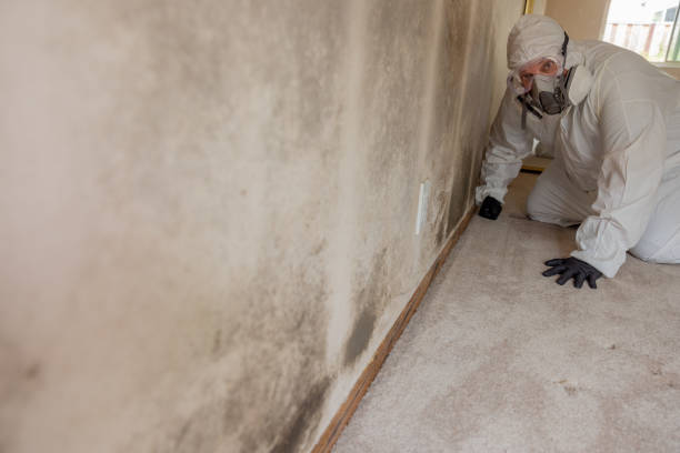 Best HVAC Mold Inspection and Cleaning  in Altamont, IL