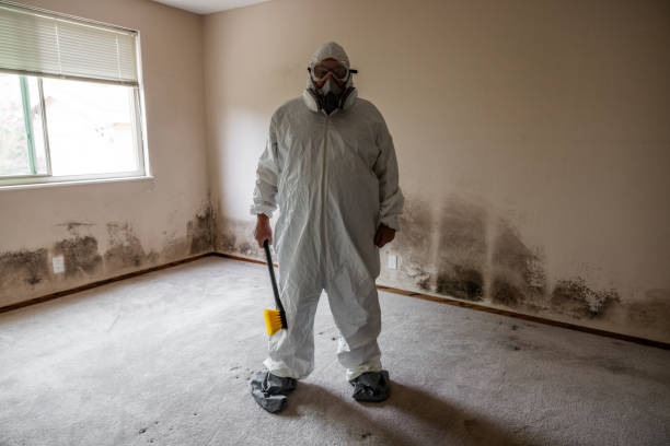 Best Mold Remediation for Healthcare Facilities  in Altamont, IL