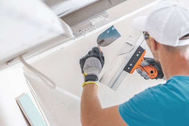 Best Residential Mold Inspection & Testing  in Altamont, IL